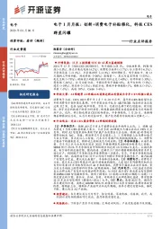 电子行业点评报告：电子1月月报：创新+消费电子补贴催化，科技CES群星闪耀