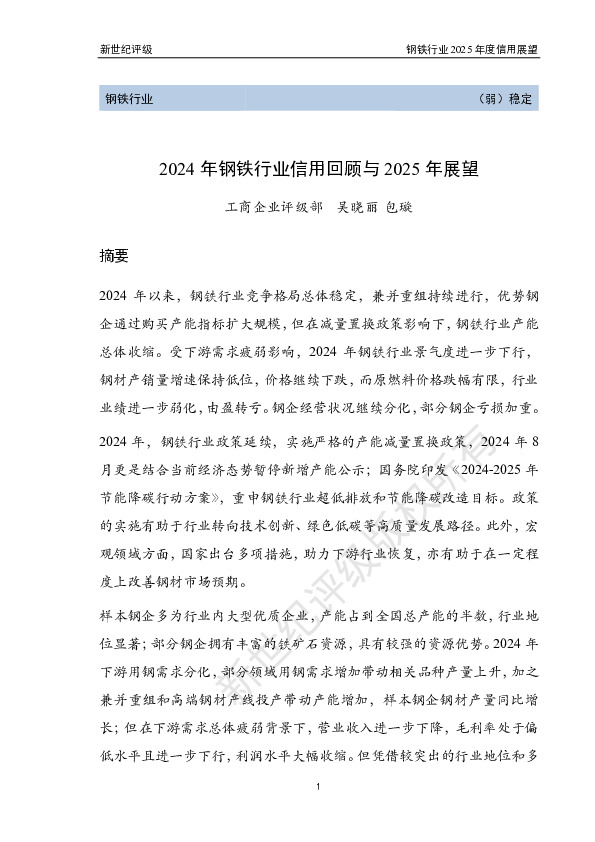 2024年钢铁行业信用回顾与2025年展望