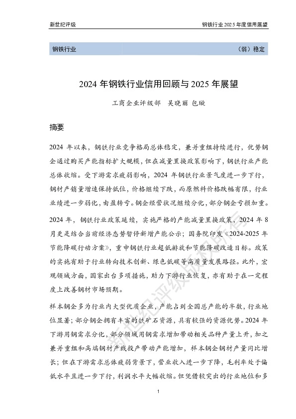 2024年钢铁行业信用回顾与2025年展望