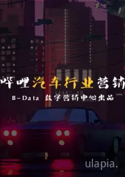 汽车行业营销指南