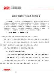 2025年我国原材料工业发展形势展望