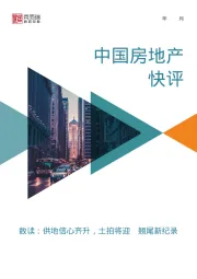 中国房地产快评：数读：供地信心齐升，土拍将迎“翘尾新纪录”