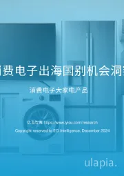 中国消费电子出海国别机会洞察报告