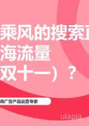 电商行业：如何用乘风的搜索直投截获蓝海流量（赢战双十一）？