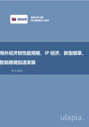 海外经济韧性超预期，IP经济、新型烟草、智能眼镜加速发展