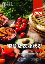 2024粮食及农业状况:价值驱动农业粮食体系转型
