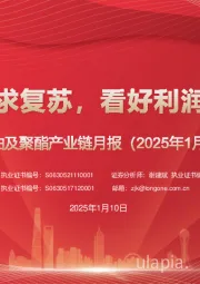 原油及聚酯产业链月报（2025年1月）：下游或需求复苏，看好利润空间修复