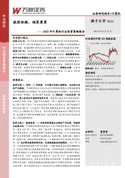 2025年计算机行业投资策略报告：披荆斩棘，硕果累累