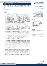 电子行业点评报告：CES 2025总结：AI成为硬件创新核心驱动力