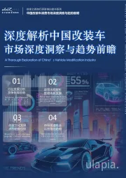 深度解析中国改装车市场深度洞察与趋势前瞻