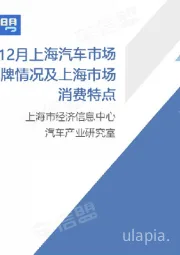 2024年12月上海汽车市场上牌情况及上海市场消费特点