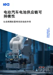 电动汽车电池供应链可持续性：生命周期的影响和回收的作用