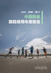 中国跑者：跑鞋使用年度报告