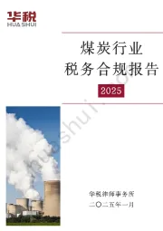 煤炭行业税务合规报告2025
