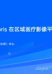 Apache Doris在区域医疗影像平台中的应用