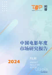 中国电影年度市场研究报告