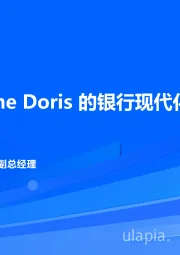 银行业：基于Apache Doris的现代化银行经营分析