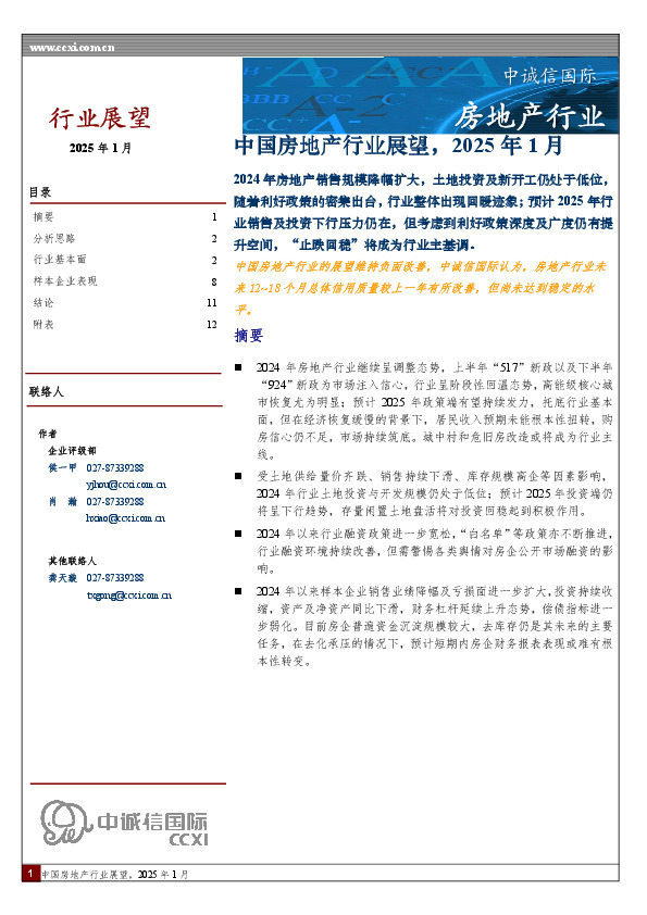 中国房地产行业展望，2025年1月