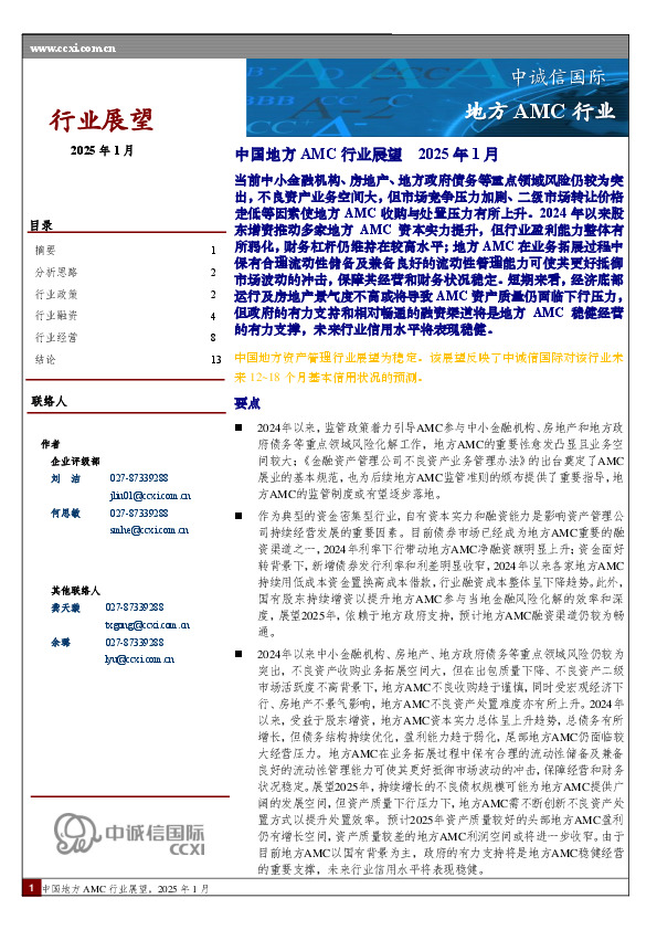 中国地方AMC行业展望 2025年1月