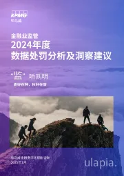 金融业监管：2024年度数据处罚分析及洞察建议