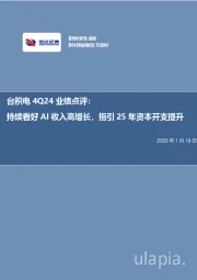 电子行业事项点评：台积电4Q24业绩点评：持续看好AI收入高增长，指引25年资本开支提升