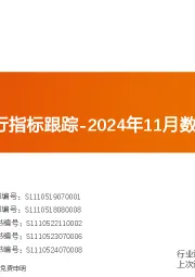 化工行业运行指标跟踪-2024年11月数据
