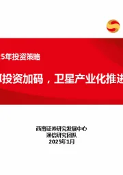 通信行业2025年投资策略：AI投资加码，卫星产业化推进