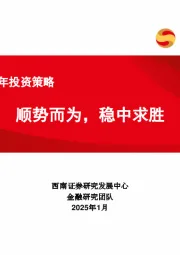 银行业2025年投资策略：顺势而为，稳中求胜