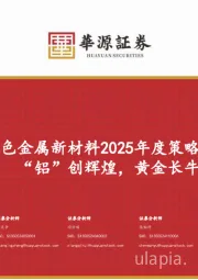 有色金属新材料2025年度策略报告:“铝”创辉煌,黄金长牛