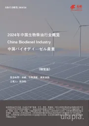2024年中国生物柴油行业概览