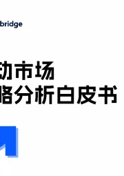 2024年全球移动市场营销策略分析白皮书