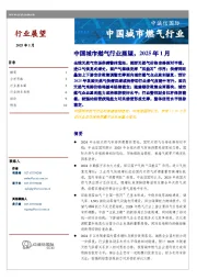 中国城市燃气行业展望，2025年1月