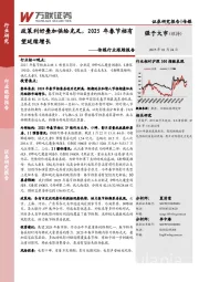 传媒行业跟踪报告：政策利好叠加供给充足，2025年春节档有望延续增长