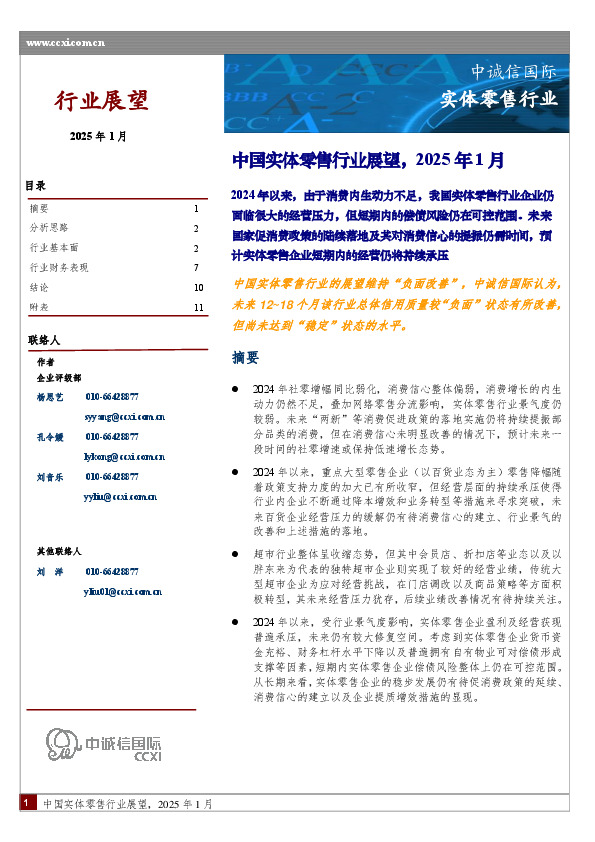 中国实体零售行业展望，2025年1月