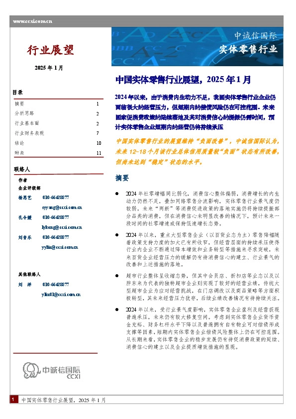 中国实体零售行业展望，2025年1月