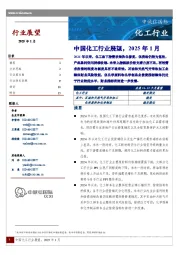 中国化工行业展望，2025年1月