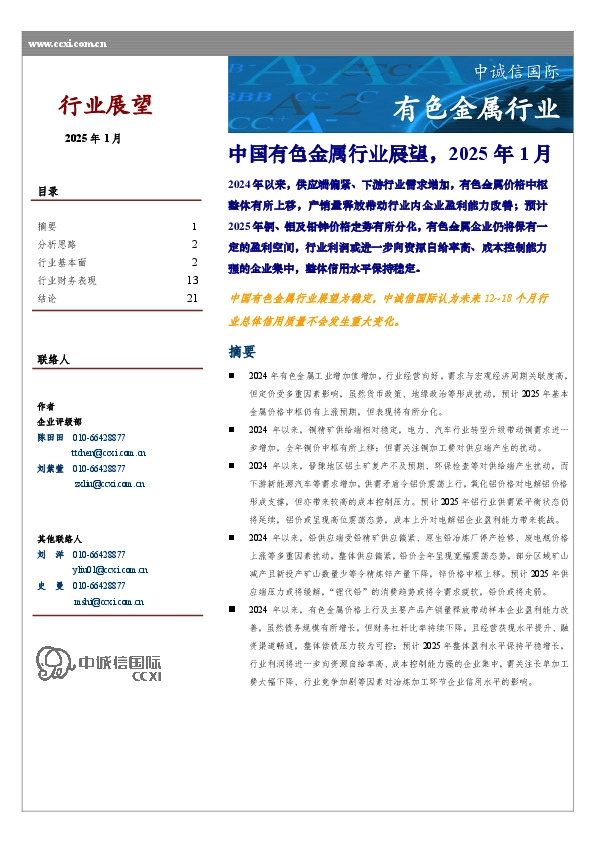 中国有色金属行业展望，2025年1月