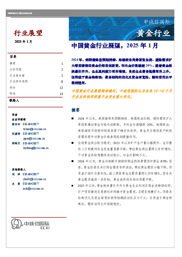 中国黄金行业展望，2025年1月