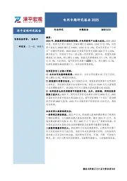 电网专题研究报告2025