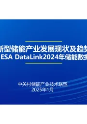 新型诸能产业发展现状及趋势暨CNESA DataLink2024年储能数据发布