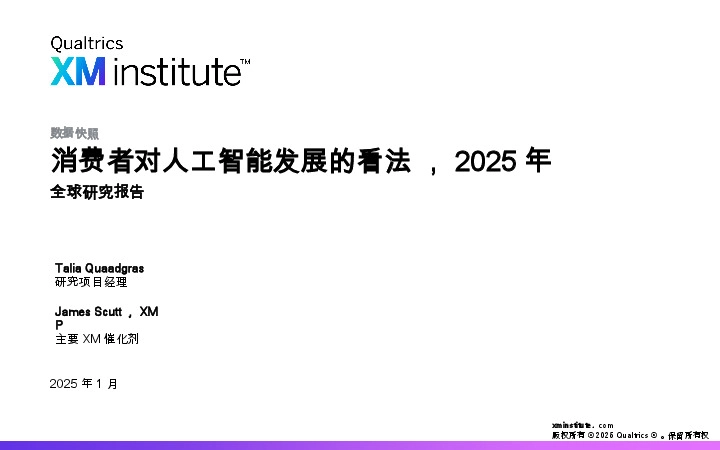 消费者对人工智能发展的看法,2025年全球研究报告