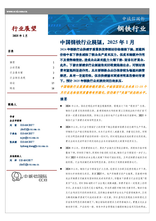 中国钢铁行业展望，2025年1月