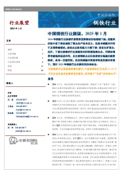 中国钢铁行业展望，2025年1月