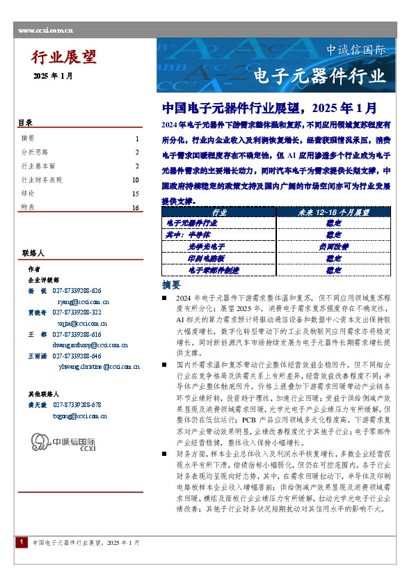 中国电子元器件行业展望，2025年1月
