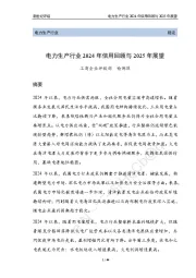 电力生产行业2024年信用回顾与2025年展望