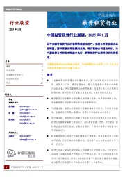 中国融资租赁行业展望，2025年1月