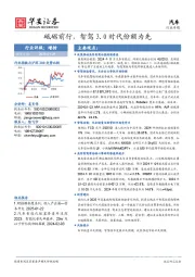汽车行业专题：砥砺前行，智驾3.0时代份额为先