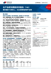 农产品研究跟踪系列报告(146):看好橡胶中长期向上,关注宠物赛道高景气延续