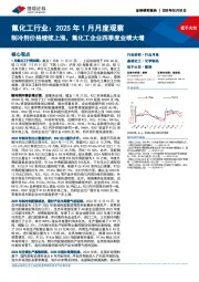 氟化工行业：2025年1月月度观察：制冷剂价格继续上涨，氟化工企业四季度业绩大增
