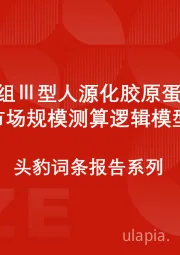 中国重组Ⅲ型人源化胶原蛋白行业市场规模测算逻辑模型 头豹词条报告系列